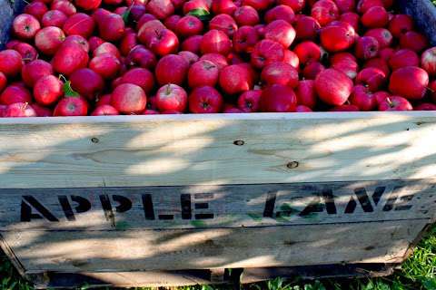 Apple Lane Farm
